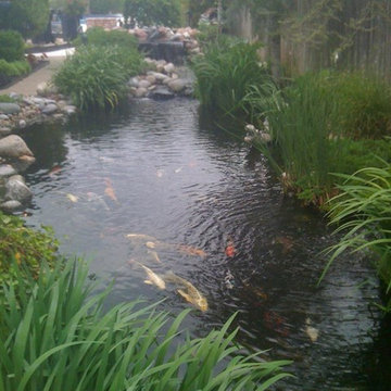 Ecosystem Ponds and Water Gardens By Continental Ponds, Oklahoma City Metro