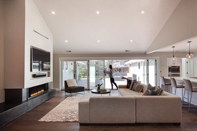 Living room - transitional living room idea in San Francisco