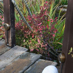 Outdoor Lighting Classic - Landscape Lighting