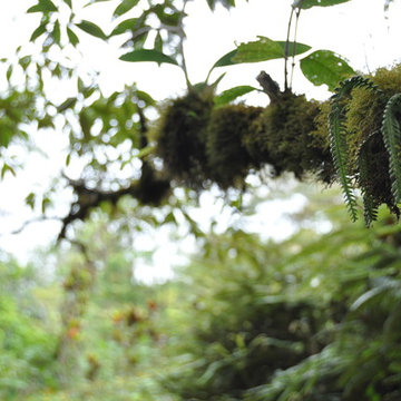 Costa Rica Travel