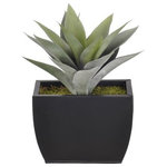 House of Silk Flowers, Inc. - Artificial Frosted Green Succulent in Small Matte Black Zinc - This contemporary artificial frosted green succulent is handcrafted by House of Silk Flowers. This plant will complement any decor, whether in your home or at the office. A professionally-arranged frosted green succulent is securely "potted" in a matte black zinc pot (7 1/2" x 4" x 5 3/4" tall). It is arranged for 360-degree viewing. The overall dimensions are measured leaf tip to leaf tip, bottom of planter to tallest leaf tip: 11" tall x 9" diameter. Measurements are approximate, and will be determined by your final shaping of the plant upon unpacking it. No arranging is necessary, only minor shaping, with the way in which we package and ship our products. This item is only recommended for indoor use.