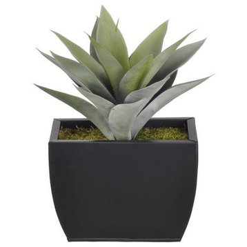 Artificial Frosted Green Succulent in Small Matte Black Zinc