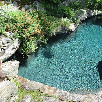 Natural boulder pool