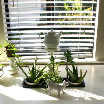 Staging Projects