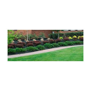 All New Plants