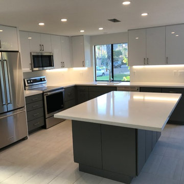 Modern Kitchen Renovation