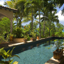 Landscape Ideas