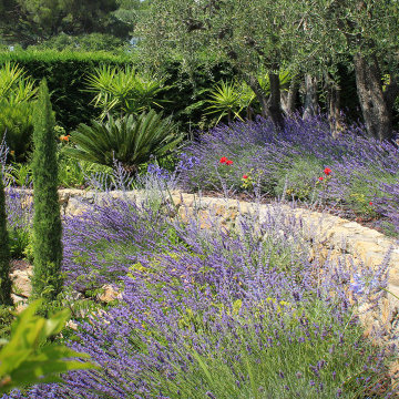 Architecte de Jardin Cannes | Contrasts et géométrie