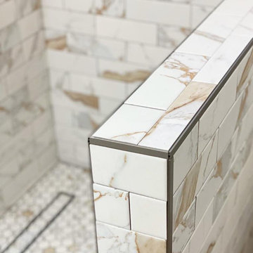 Chic Shower Bathroom Remodel