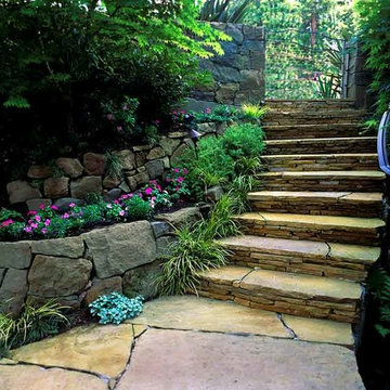 Mill Valley Redwood Garden