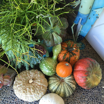 Seasonal Staging -  Ideas for Colorful Celebration!
