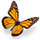 donna_smallwood7