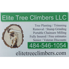 Elite Tree Climbers