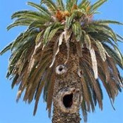 Glenn Ballenger's photo
