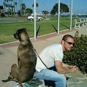 Howie Wein's photo