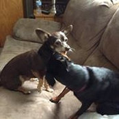Geri Smith's photo