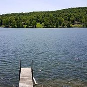 Brenda Shimer's photo