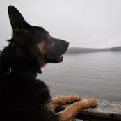 Marshall Willis's photo
