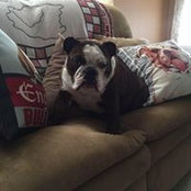 Donna Mavrelos's photo