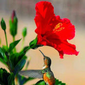 Viviene Roberts's photo