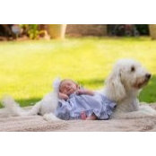 Carolina Hayward's photo