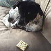 Hilary Gebhart's photo