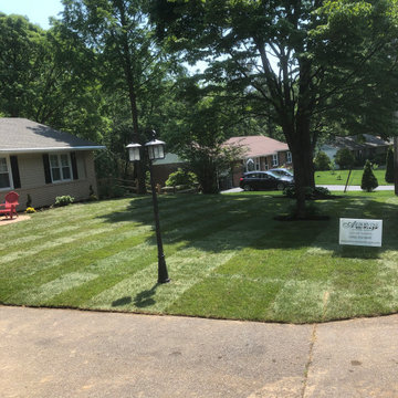 Front yard sod Installation- After