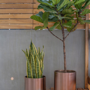 Copper Planter on Rooftop Deck