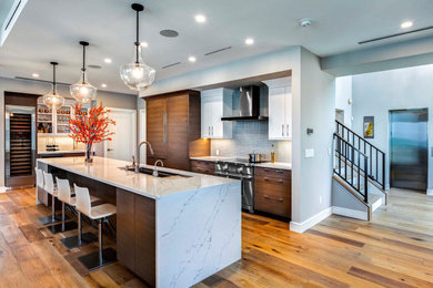 Kitchen - transitional kitchen idea in Tampa