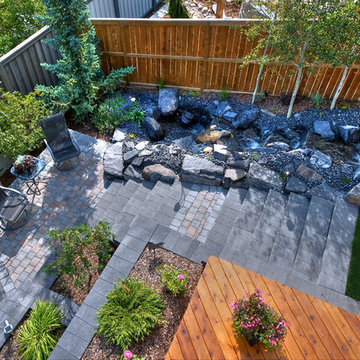 Small Yard Big Dreams