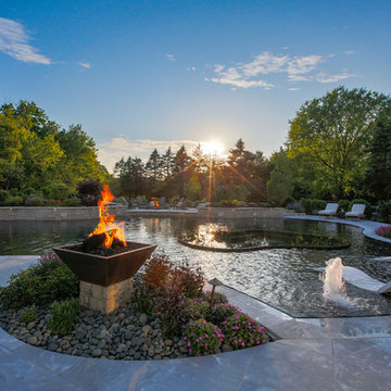 Barrington Hills, IL Freeform Perimeter Overflow with Perimeter Overflow Hot Tub