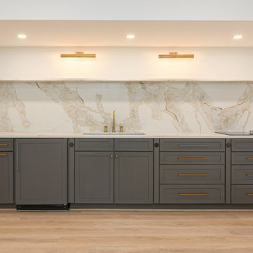 Biltmore Basement Renovation