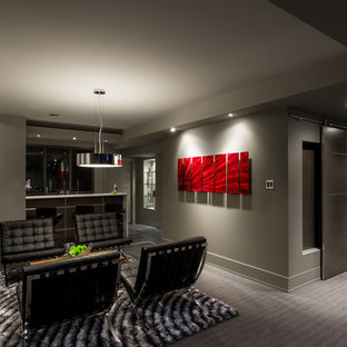 オタワのコンテンポラリースタイルのおしゃれな地下室 (グレーの壁、カーペット敷き、金属の暖炉まわり、全地下、グレーの床) の写真