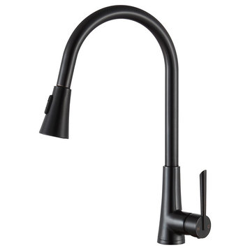 ANZZI Tulip Single-Handle Pull-Out Sprayer Kitchen Faucet, Oil Rubbed Bronze