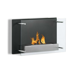 50 Most Popular Contemporary Fireplace Inserts For 2019 Houzz