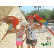 Tony Giarratana's photo