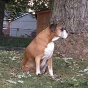 Leslie Goodwin's photo