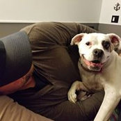 Christopher Anderson's photo