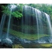 Khulud AlSultan's photo