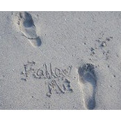 Lynne Smith's photo