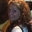 Art Everyday Studio/ Patti Kramer