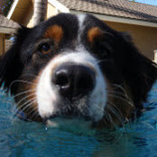Michael Metzler's photo