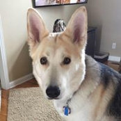 Tom Schleicher's photo