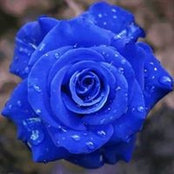 Karen Olson's photo