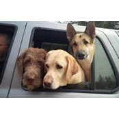 Jim Mills's photo