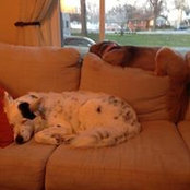 Foto von Kristin Huff