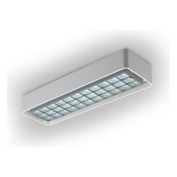 Plata Asymmetric Bulkhead - Spot Lights