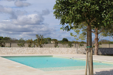 Foto di una piscina mediterranea rettangolare con pavimentazioni in pietra naturale