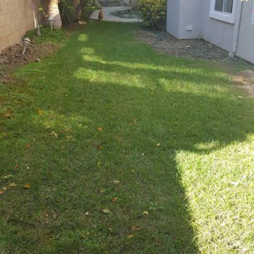 Romantic Garden Before and After