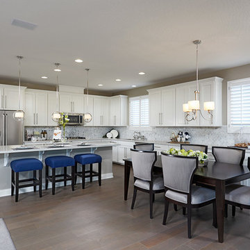 Paisley model home in Las Vegas